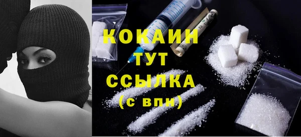 крисы Алексин