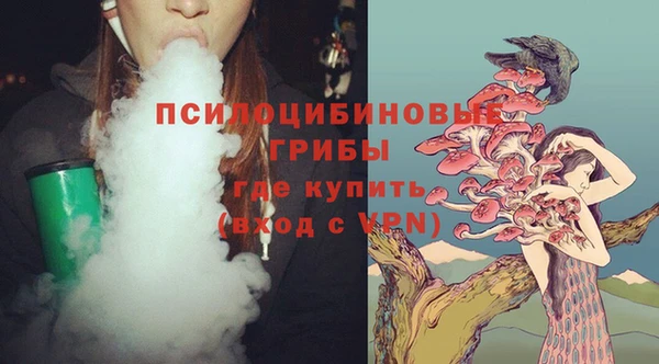 крисы Алексин