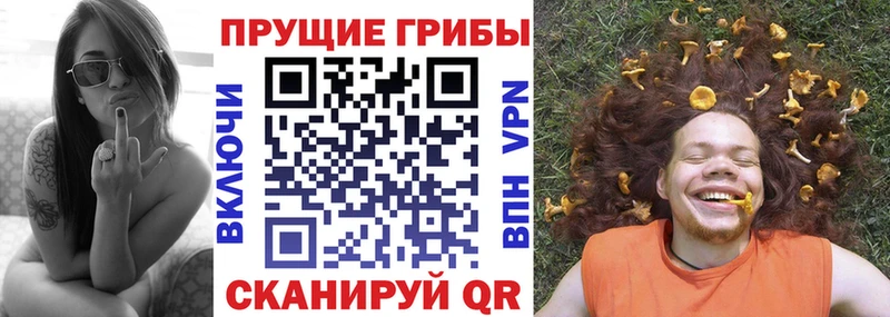 Галлюциногенные грибы Psilocybe Нижняя Салда